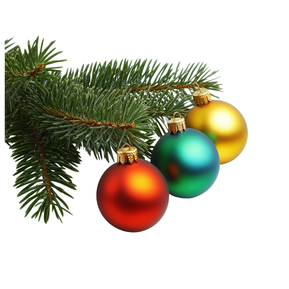 Colorful Christmas ornaments hanging on fir tree branch with white background for festive decor, Christmas toys on fir tree branch , isolated on white png