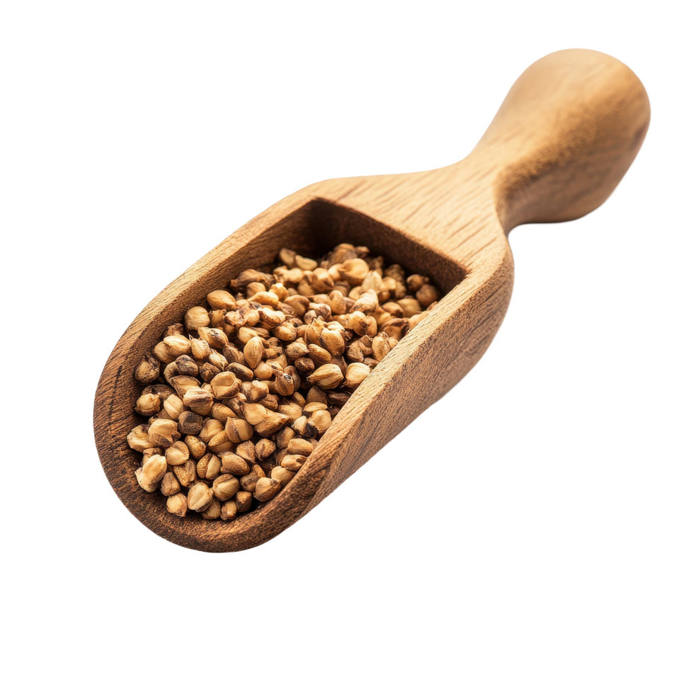 Buckwheat grains in a wooden scoop against a clean white background showcasing natural food textures, Buckwheat in wood scoop on white background png