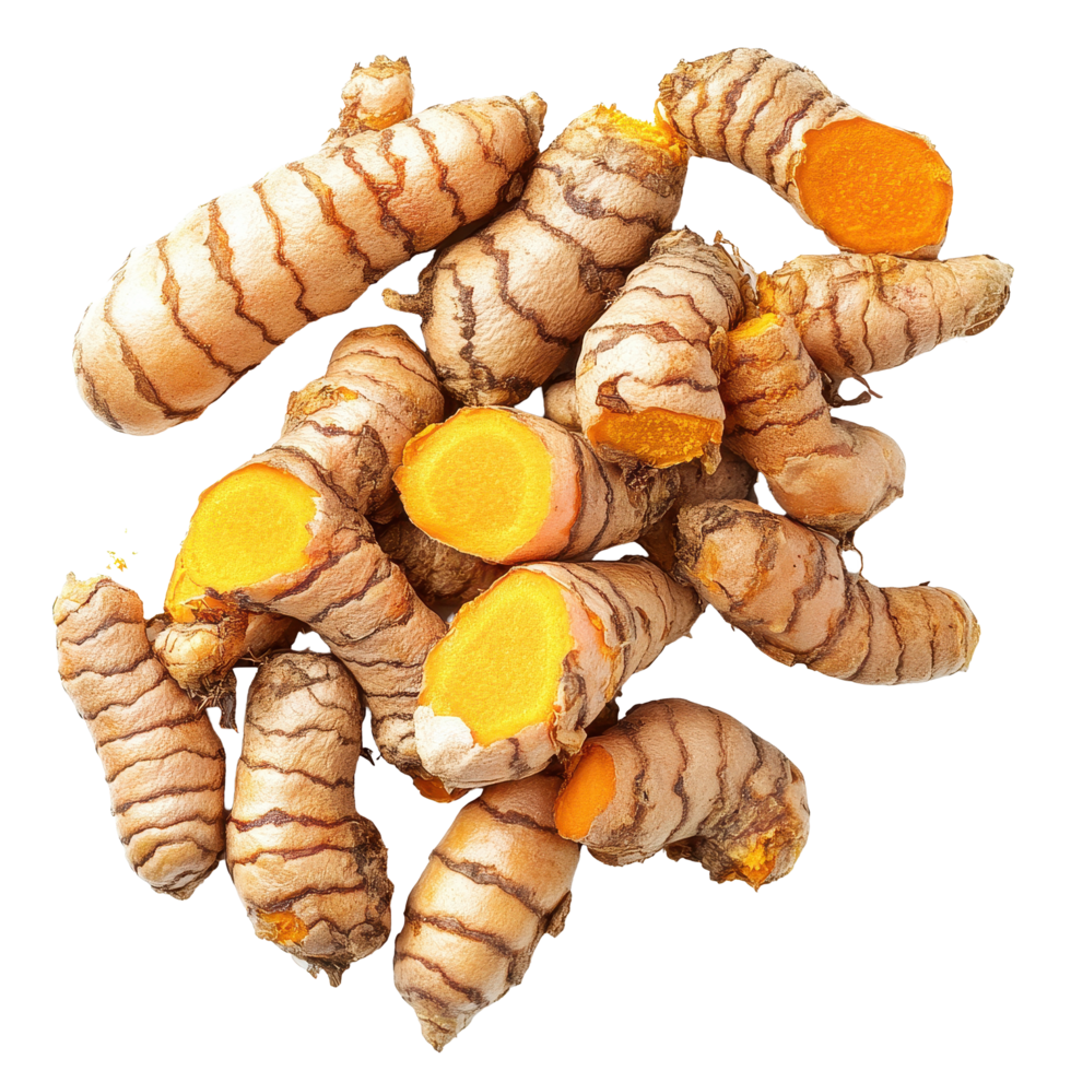 Fresh turmeric roots isolated on a Transparent background showcasing their vibrant color and unique texture, turmeric roots isolated on background png