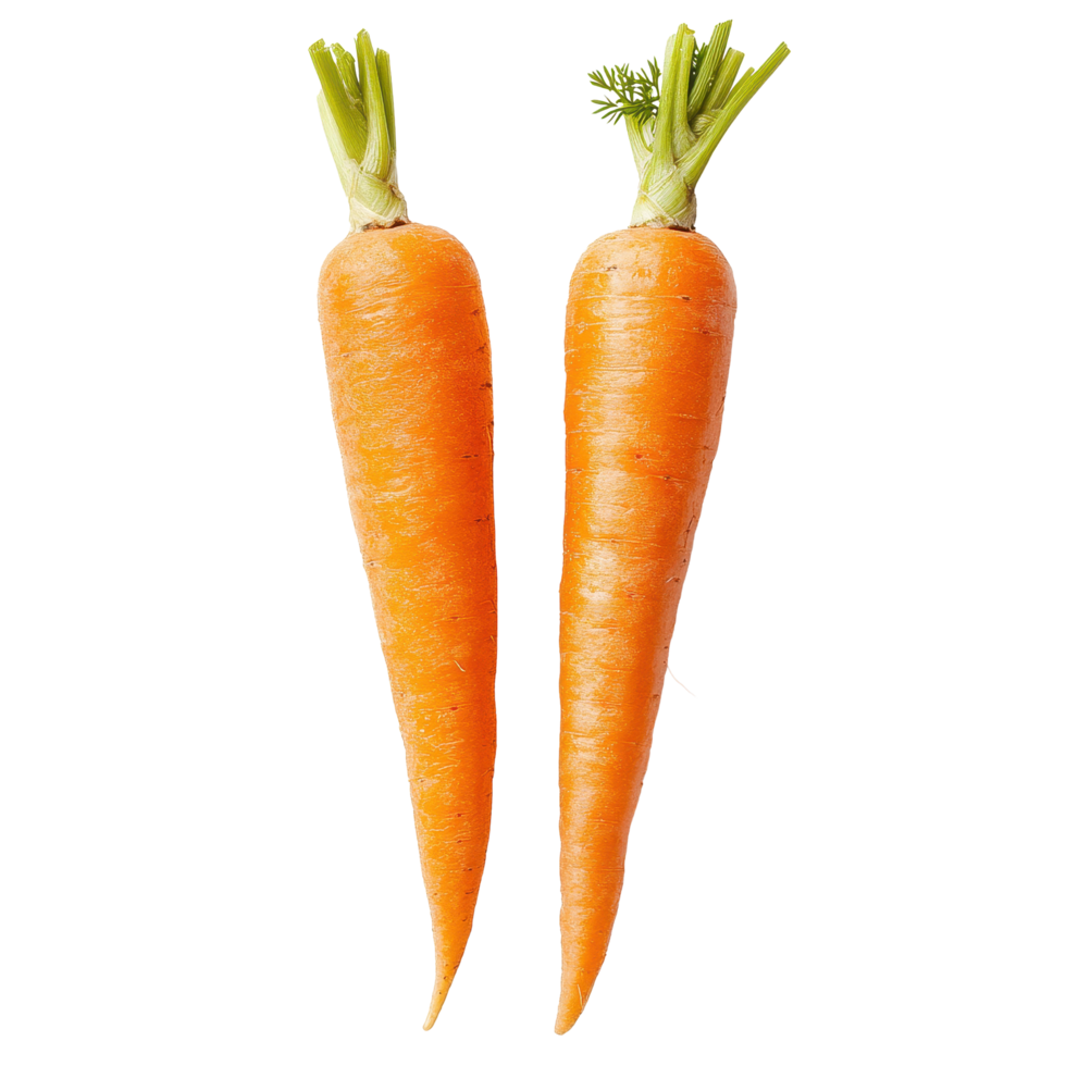 Fresh and vibrant carrots showcasing their rich orange color and lush green tops in a clean studio setting, two carrots isolated, carrot macro studio photo, isolated on Transparent background png