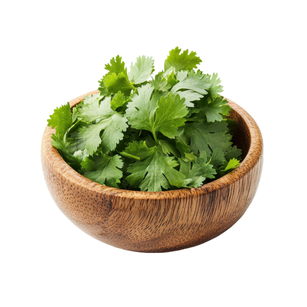Fresh coriander leaves in a wooden bowl ready for culinary use on a Transparent background, coriander leaf in wood bowl isolated on background png