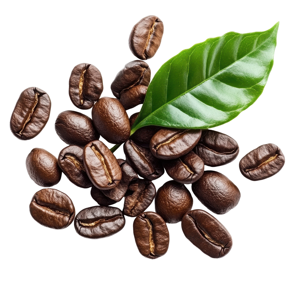 Coffee beans with green leaves isolated on a Transparent background emphasizing natural freshness and quality, coffee beans with leaf isolated on background png