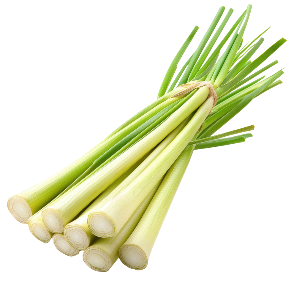 Fresh lemongrass bundled together on a white surface ready for culinary use or aromatherapy, Lemongrass isolated on Transparent background png