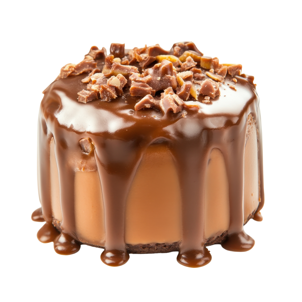 Decadent caramel mud cake with chocolate drizzle and toppings on a white background, caramel mud cake isolated on white background png