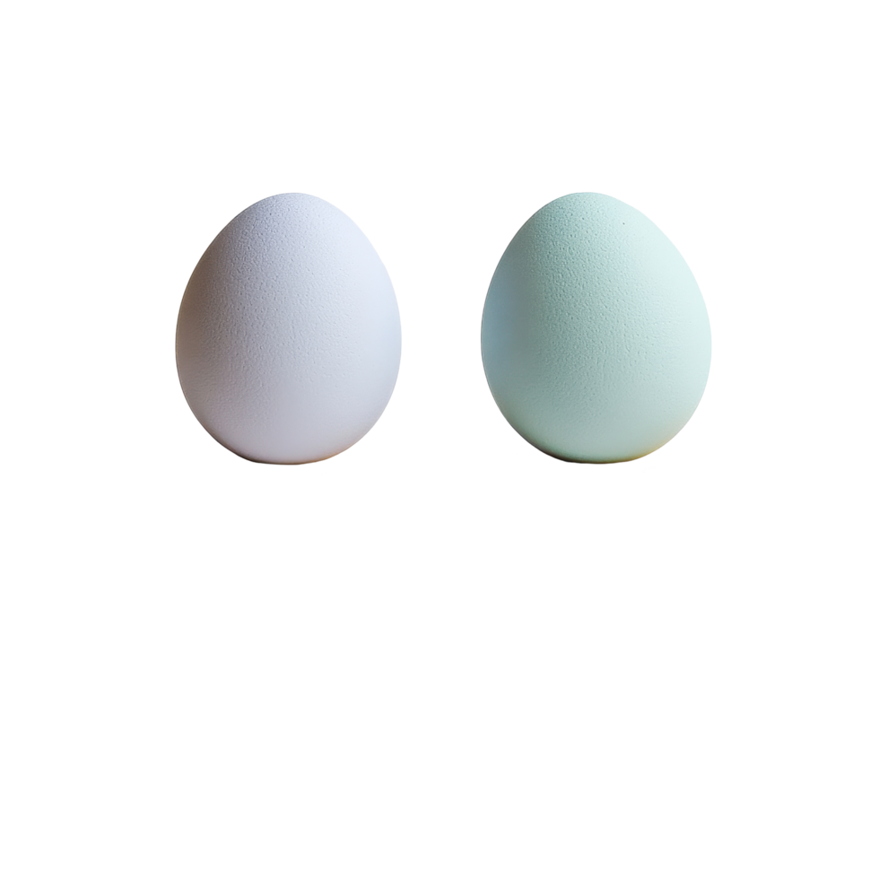 Colorful eggs balancing on a wooden beam in a bright and minimalist setting, pair colorful eggs on a wooden balance beam, Transparent background png
