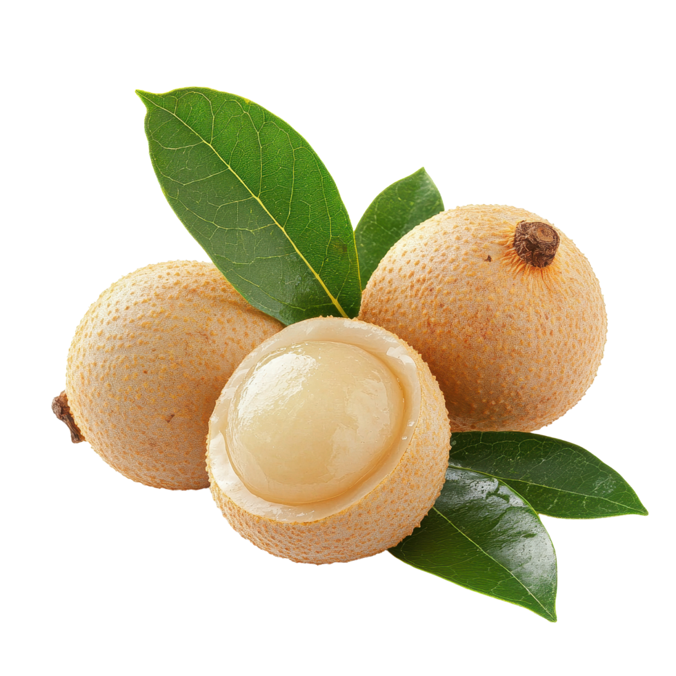 Delightful longan fruit with fresh leaves isolated on a Transparent background showcasing its natural beauty, Longan with leaf isolated on background png