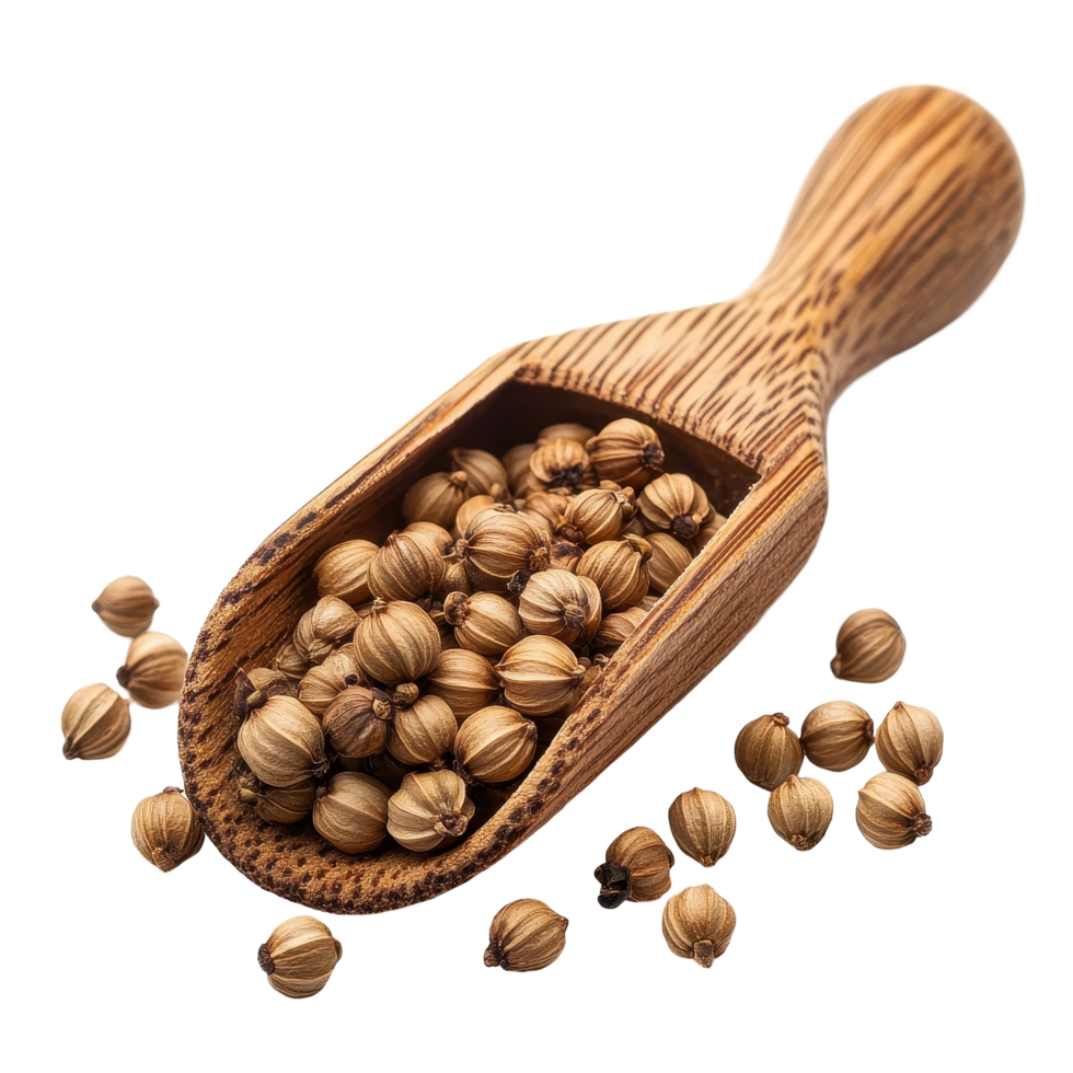 Coriander seeds in wooden scoop set against a clean Transparent background for culinary use, Coriander seeds in wood scoop isolated on background png