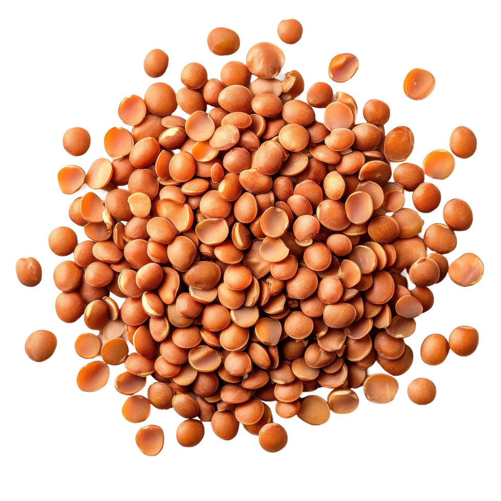 Brown lentils are presented on a white background, highlighting their smooth, round shape and earthy tones, Brown Lentils isolated on white background png