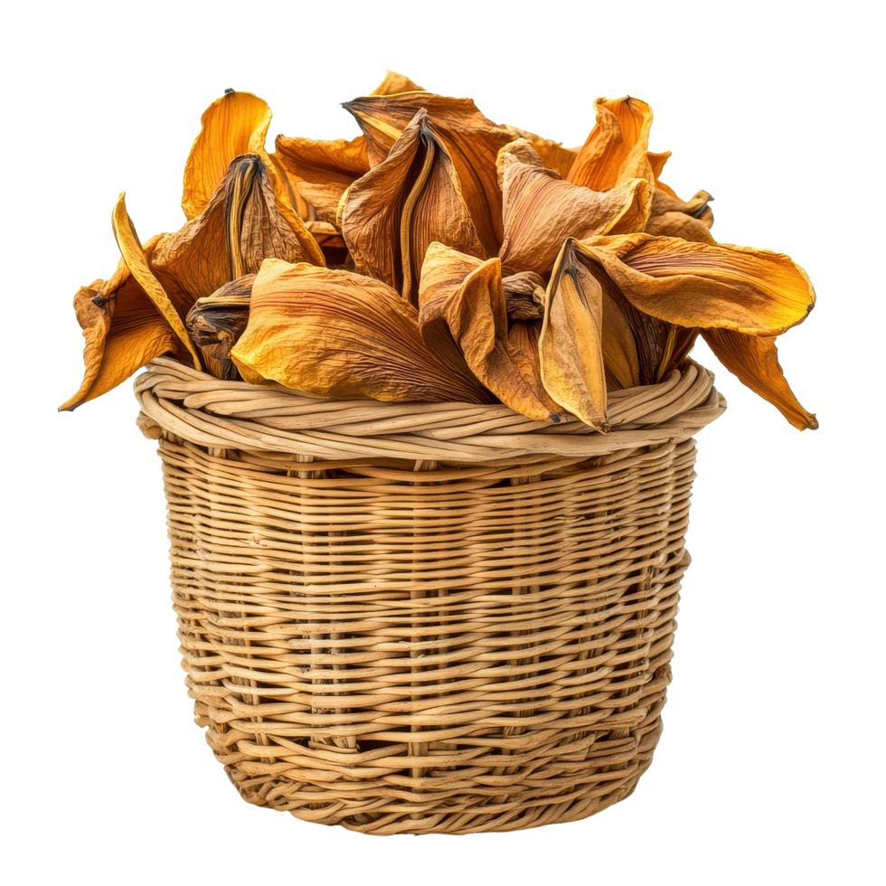 Dried day lily flowers arranged in a wicker basket on a Transparent background for decorative purposes, Dried Day Lily in basketisolated on background png