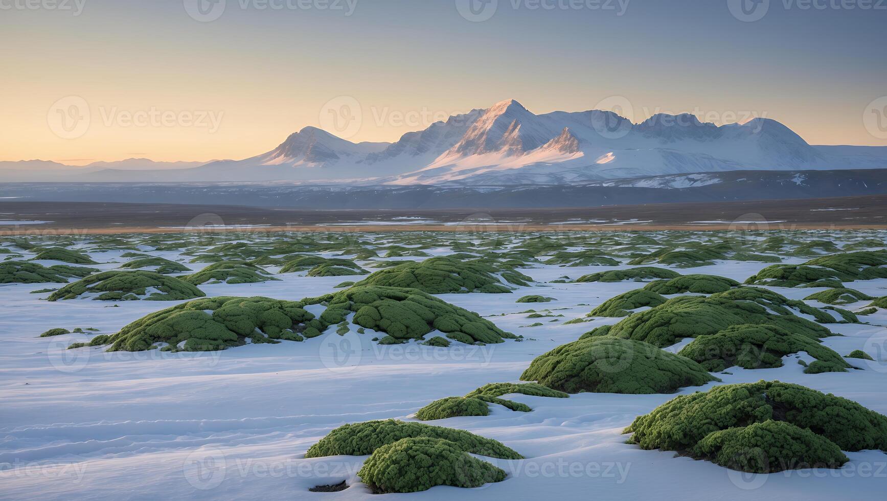 Snowy Arctic Landscape with Moss Patches and Distant Mountain Range photo