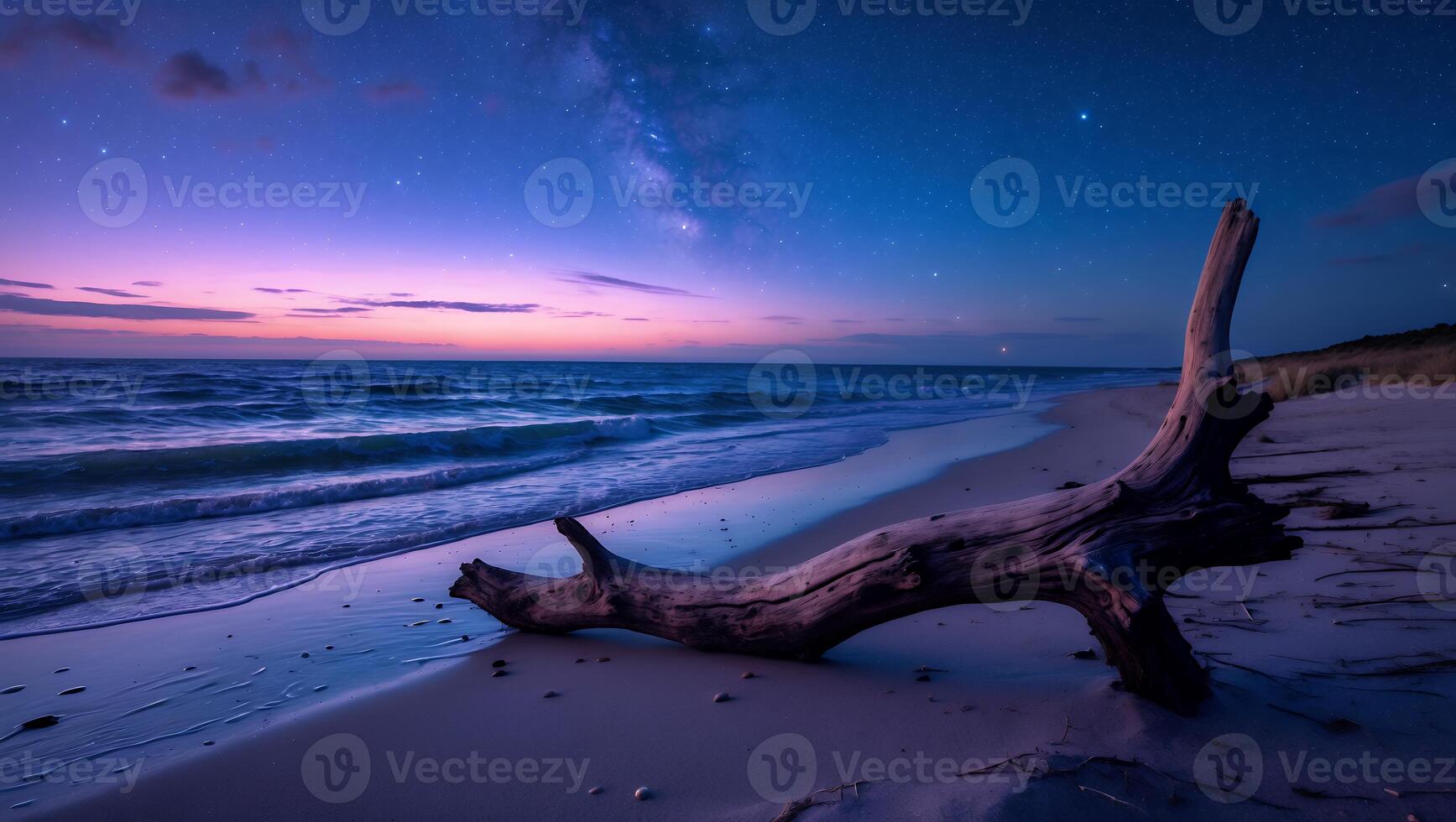 Driftwood on Sandy Beach Under Starry Night Sky at Dusk photo