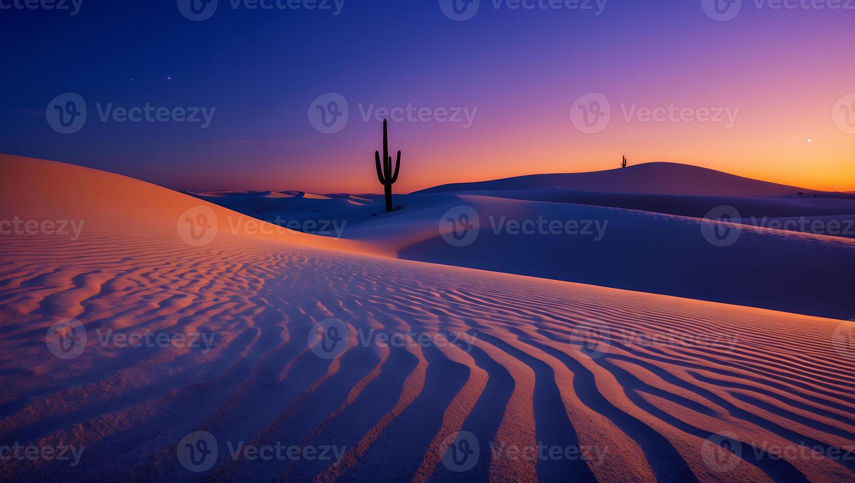 Desert Landscape with Cactus and Sand Dunes at Dusk or Dawn photo