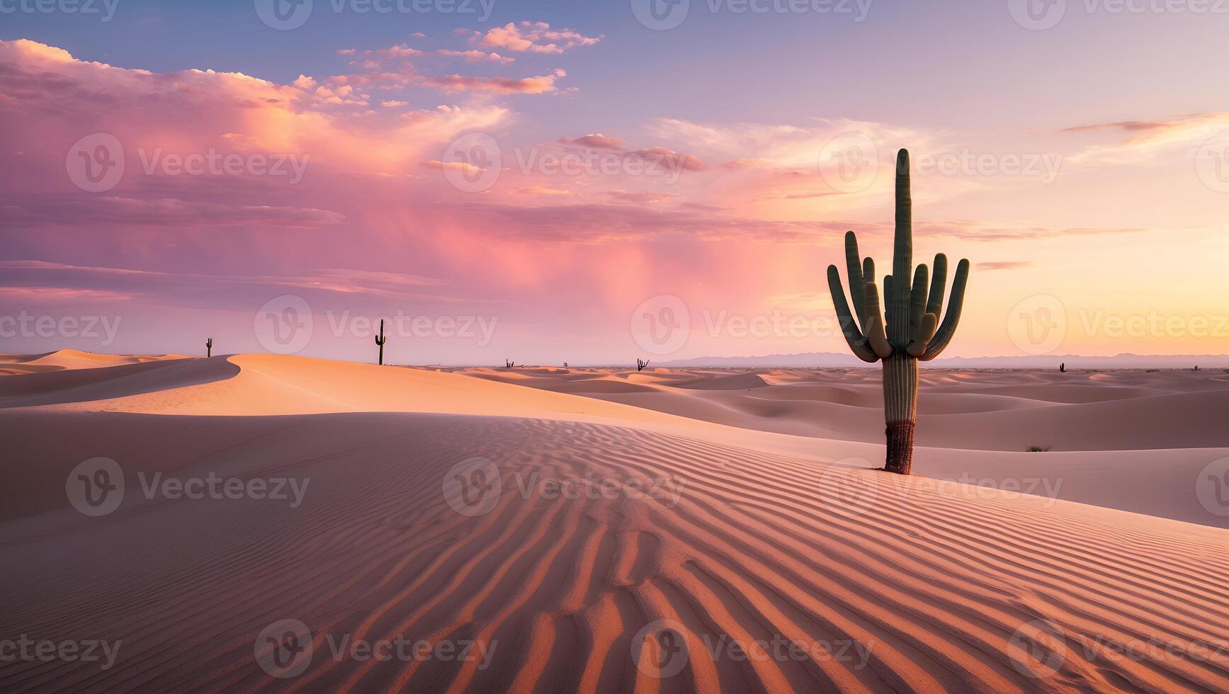 Cactus on Sand Dune at Sunset photo