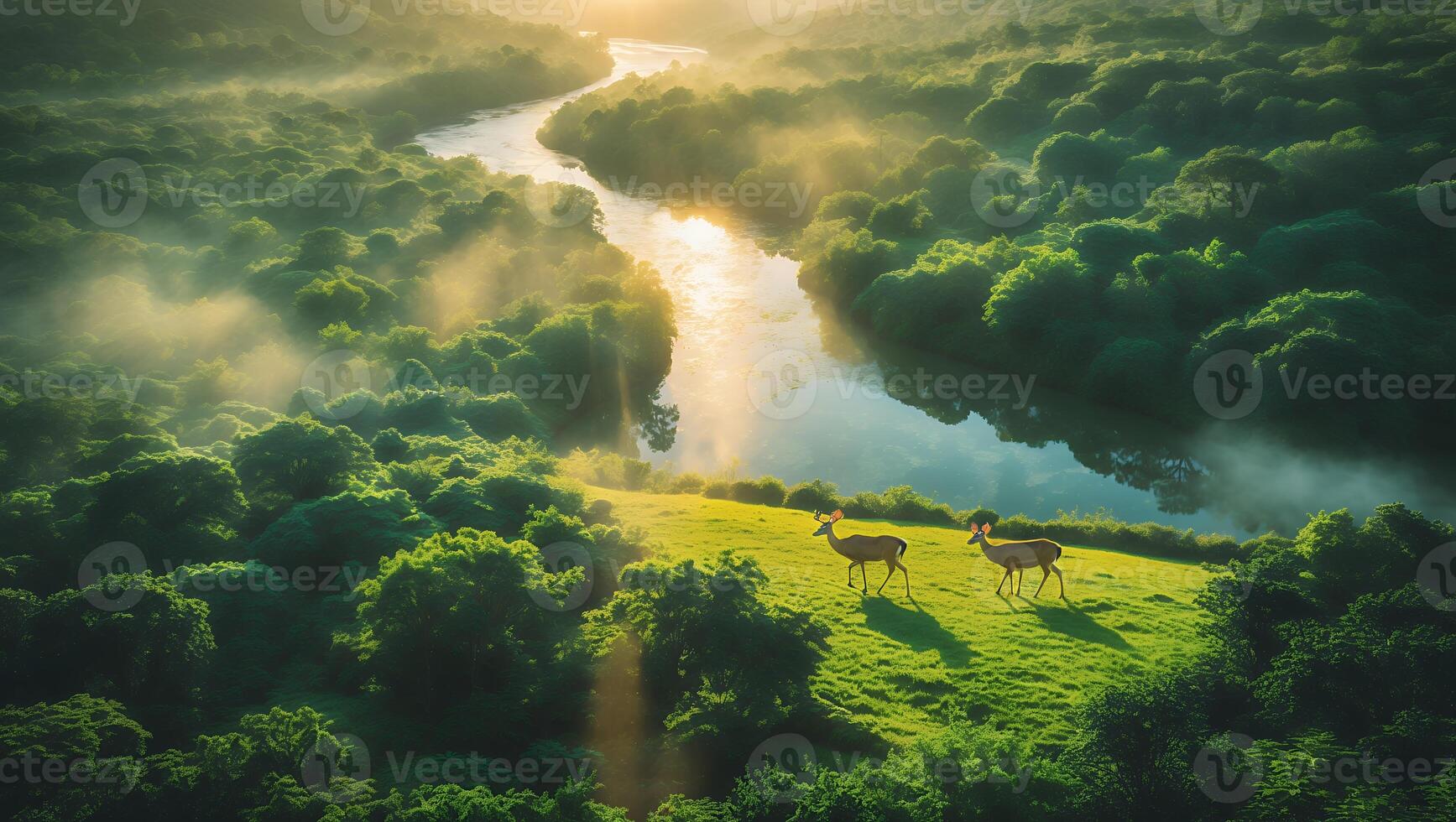 Deer Near River in Misty Forest photo