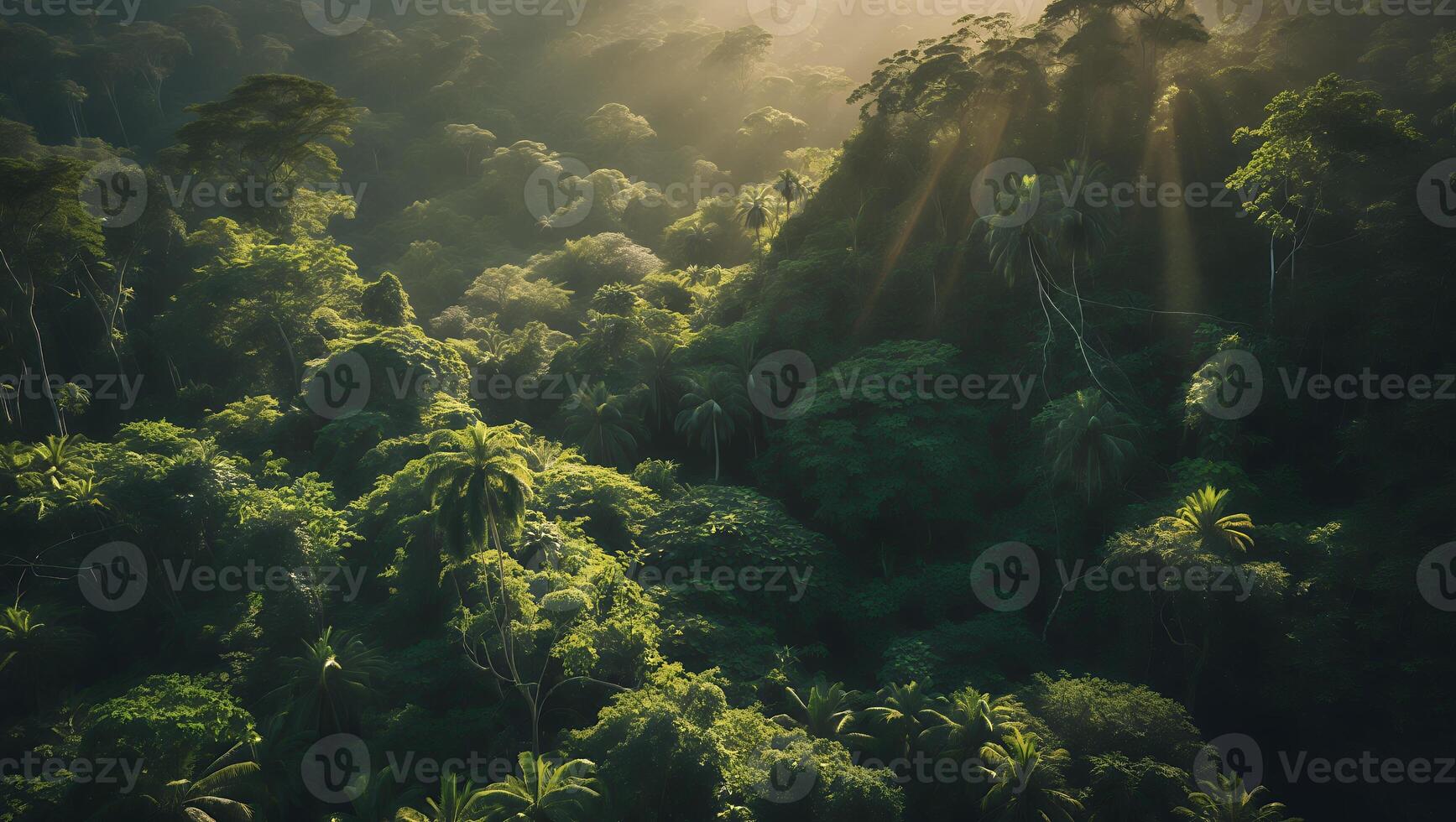 Aerial View of Tropical Forest with Sun Rays Shining Through Trees photo