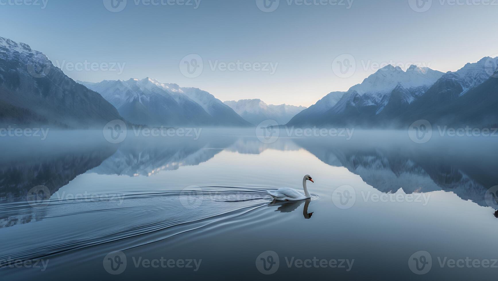 Swan Swimming on Calm Mountain Lake Reflecting Snowy Peaks Landscape photo