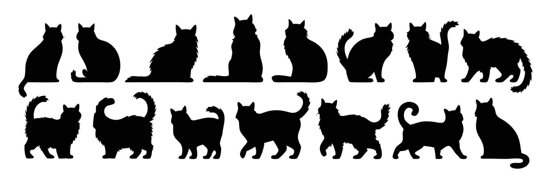 Set of 12 Cat Silhouettes Showing a Variety of Poses in Black, Featuring Tail and Fur DetailsSet of 12 Cat Silhouettes Showing a Variety of Poses in Black, Featuring Tail and Fur Details vector