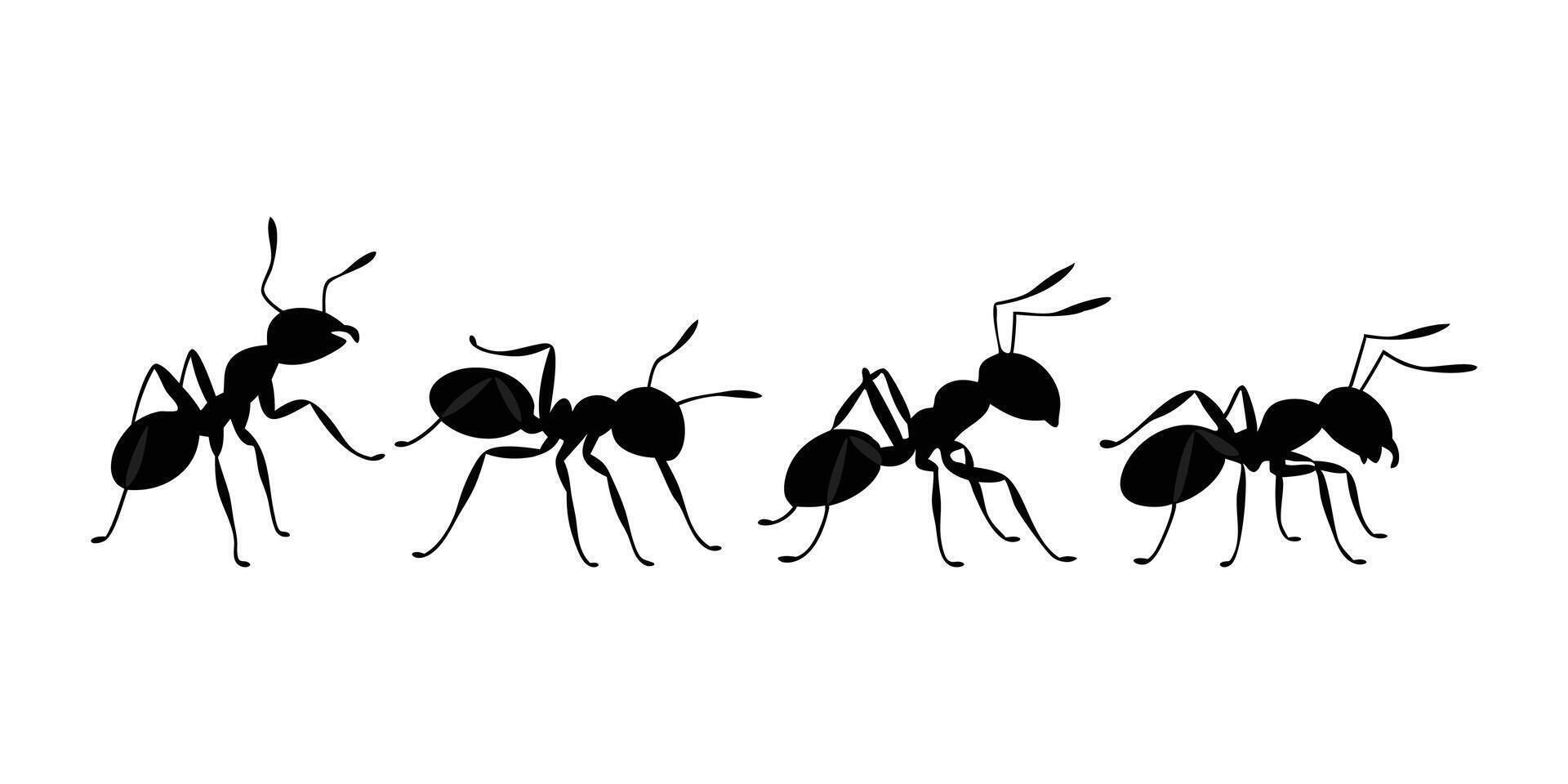 Collection of Four Ant Silhouettes Showing Movement and Form in a Clean Black Style vector