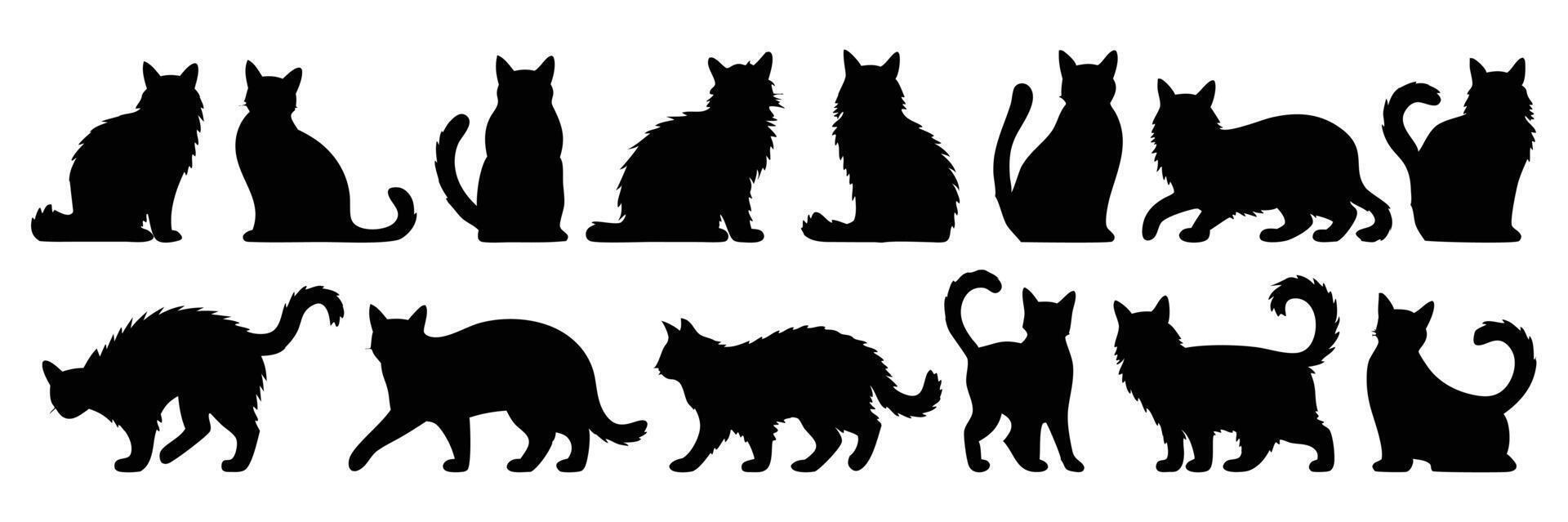Black Silhouettes of 12 Cats in Different Poses Including Sitting, Standing, and Walking Positions vector