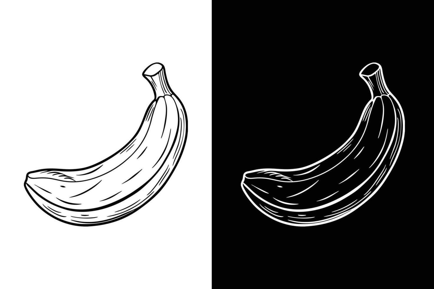 banana line art icon set drawing illustration design white black vector