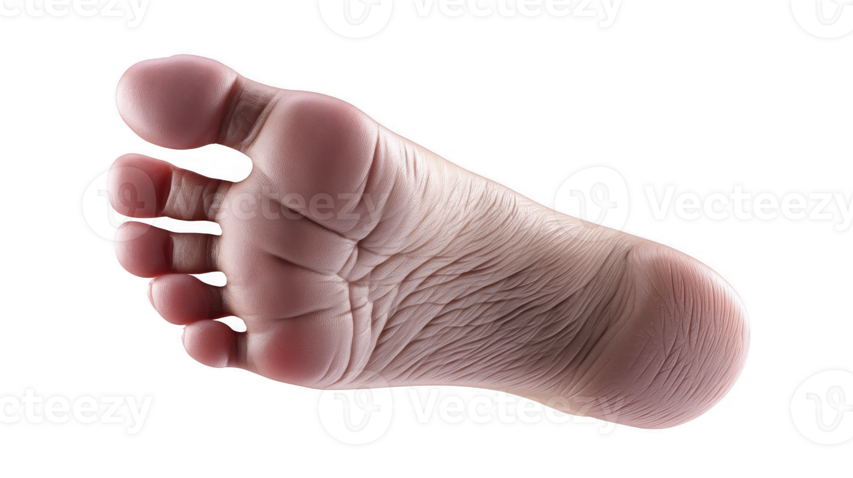 Infant Foot For Pediatric Health and Birth Announcements isolated on transparent background png