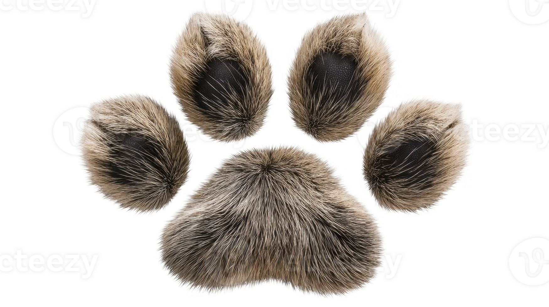 Animal Paw Imprint Texture for Wildlife and Adventure Branding isolated on transparent background png