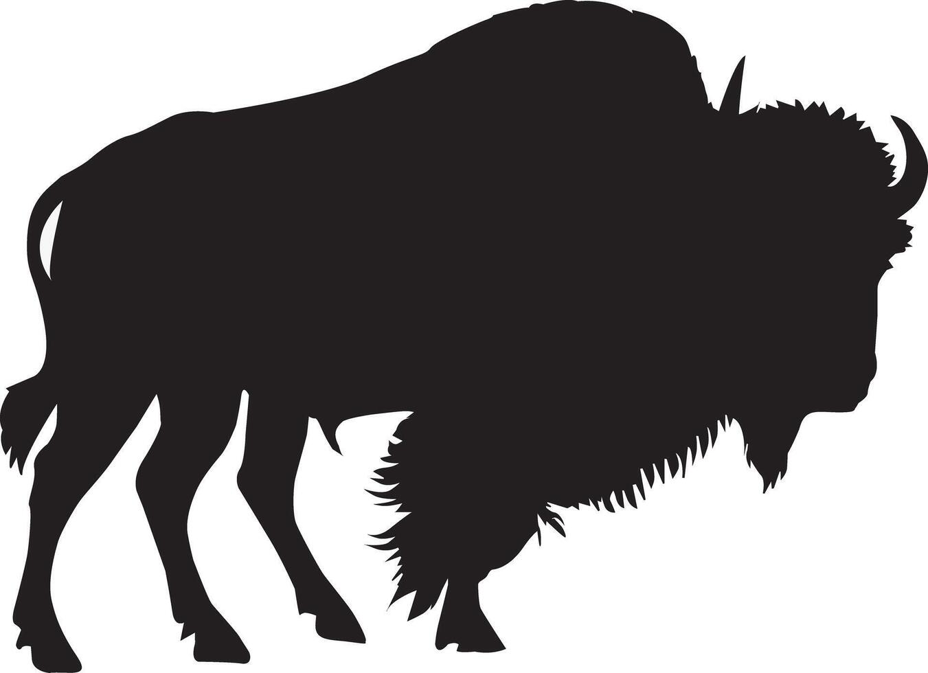 Black And White Bison Animal Image vector
