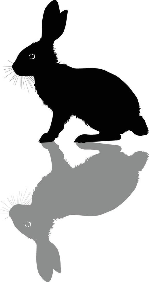Silhouette Rabbit Animal Outline Shadow Image vector