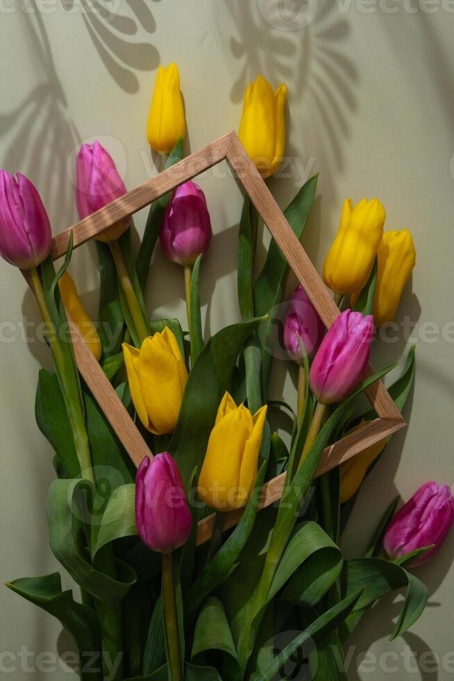 Bouquet of colorful tulips with creative photo frame in pastel green background. Copy space for greeting card. Holiday flowers springtime atmosphere