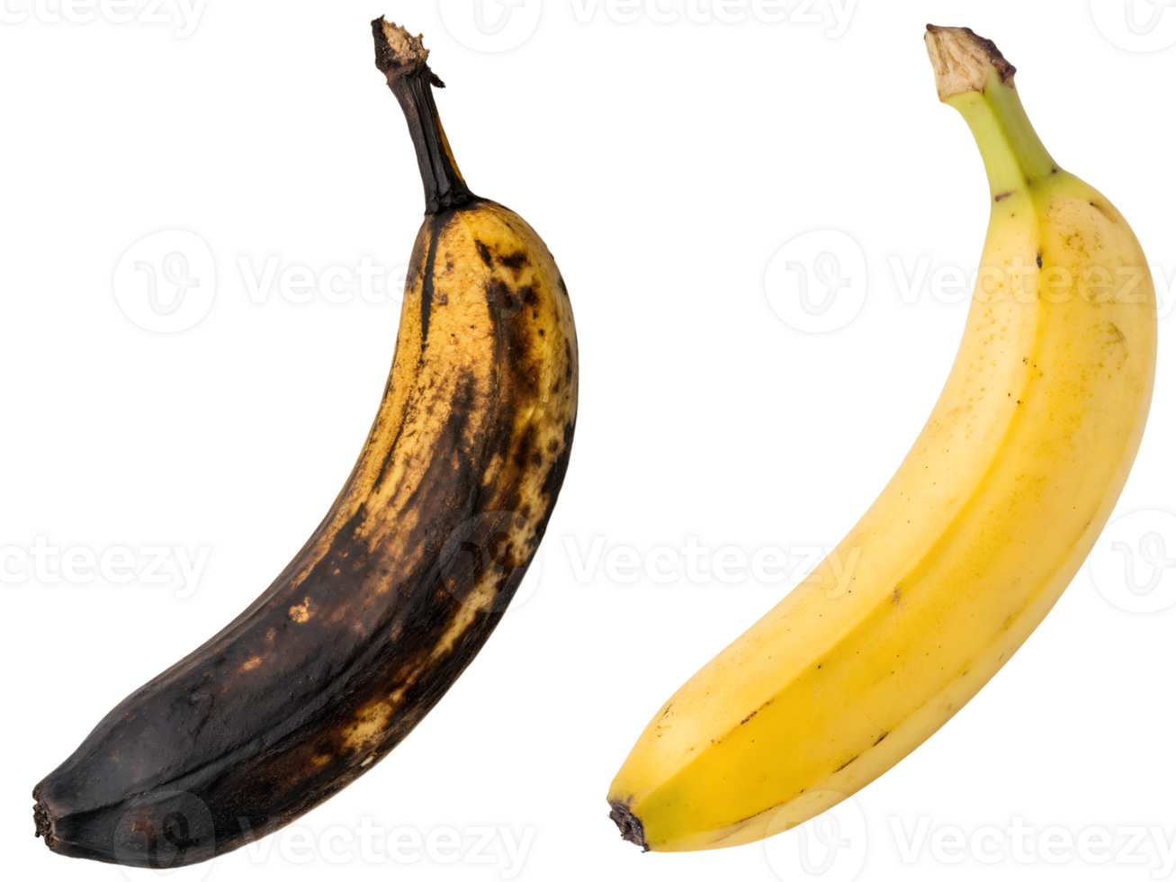 Comparison of overripe banana and fresh ripe banana isolated on the transparent background png