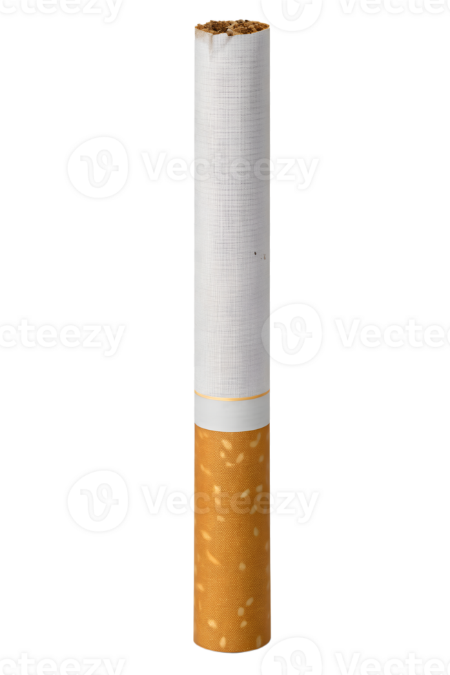 Single cigarette with clean white paper and filter isolated on transparent background png