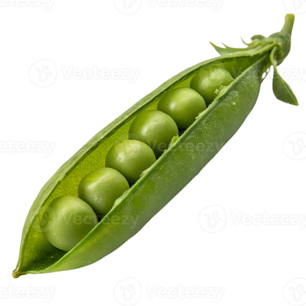 Fresh green peas in a pod isolated on the transparent background png