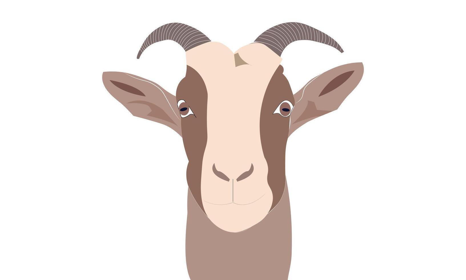 A goat's face closeup portrait illustration on a white background vector