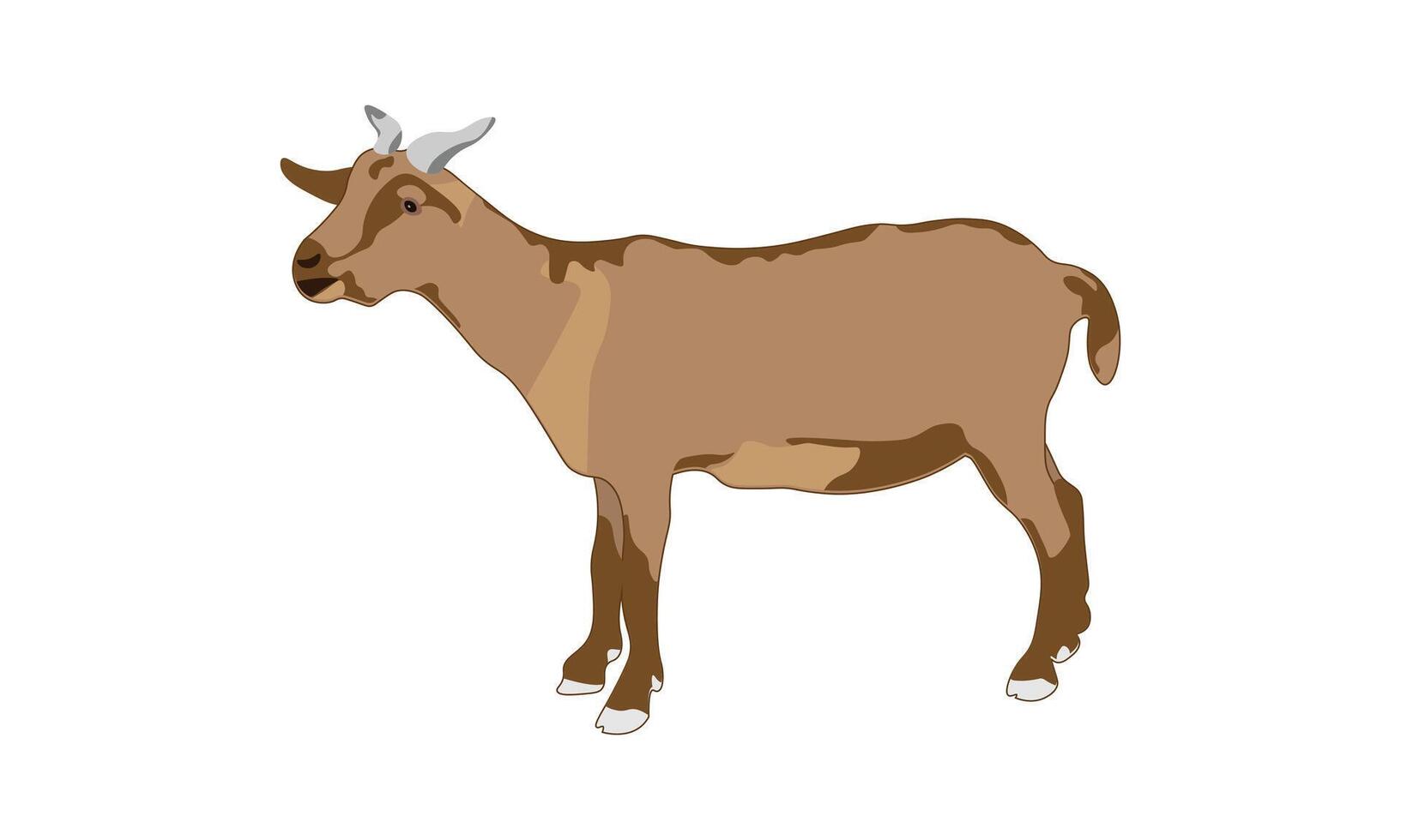 A Brown Goat Illustration Isolated on a White Background. vector