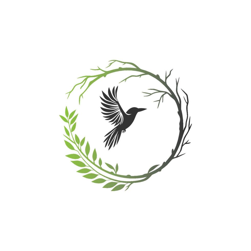 bird and branch drawing, vector