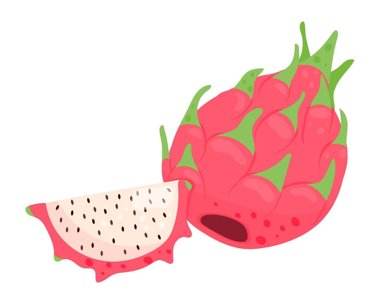 Dragon fruit. Pitaya whole fruit and piece. Pitahay. vector