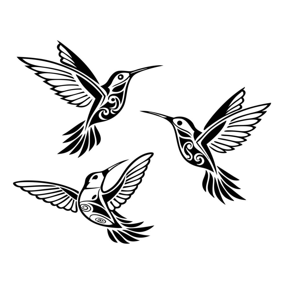 Hand drawn hummingbird vector