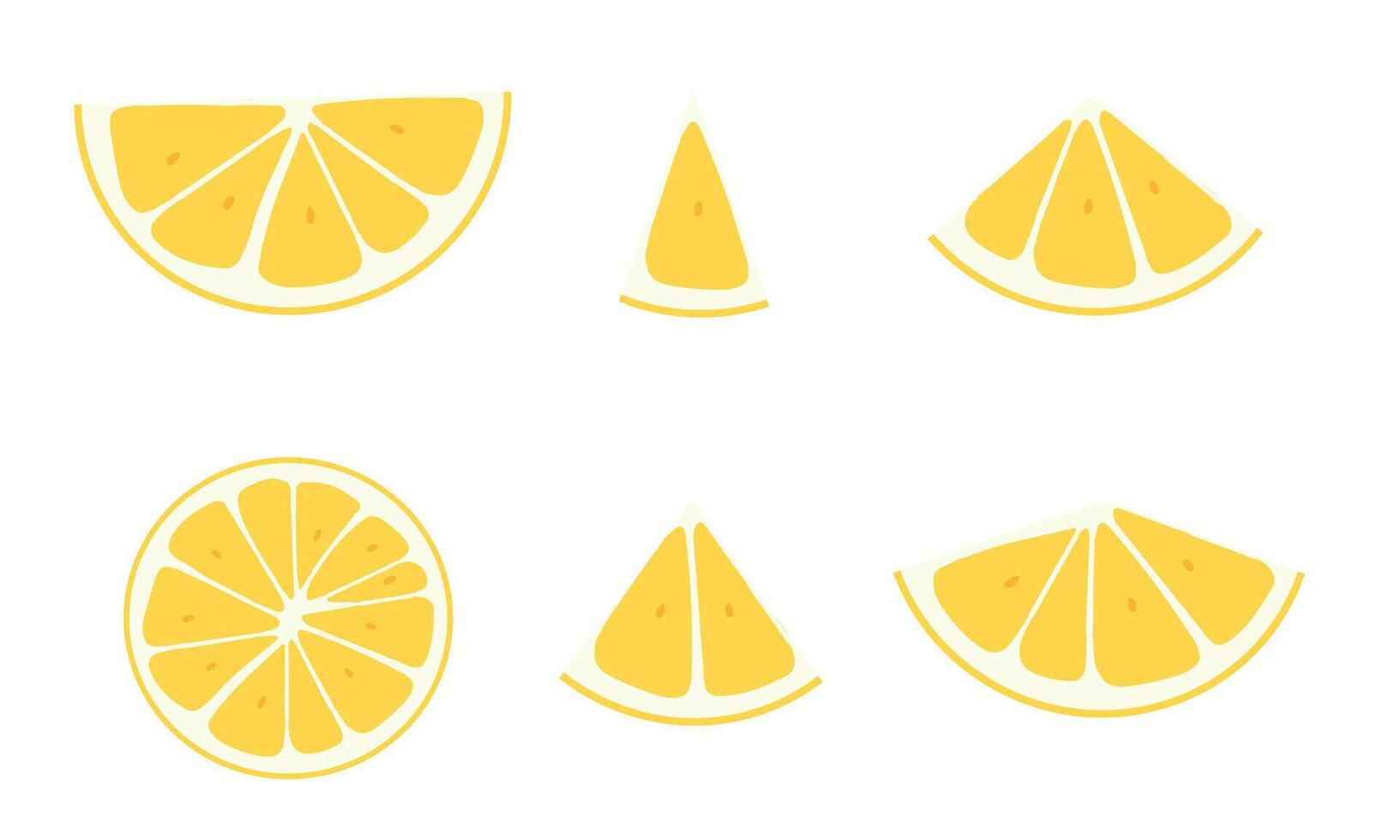 Slices of lemon arranged in various shapes on a white background vector
