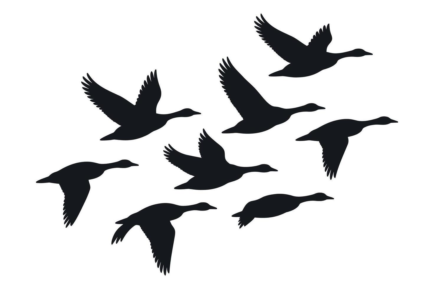 Silhouette of Eight Geese Flying in Formation Against a White Background vector
