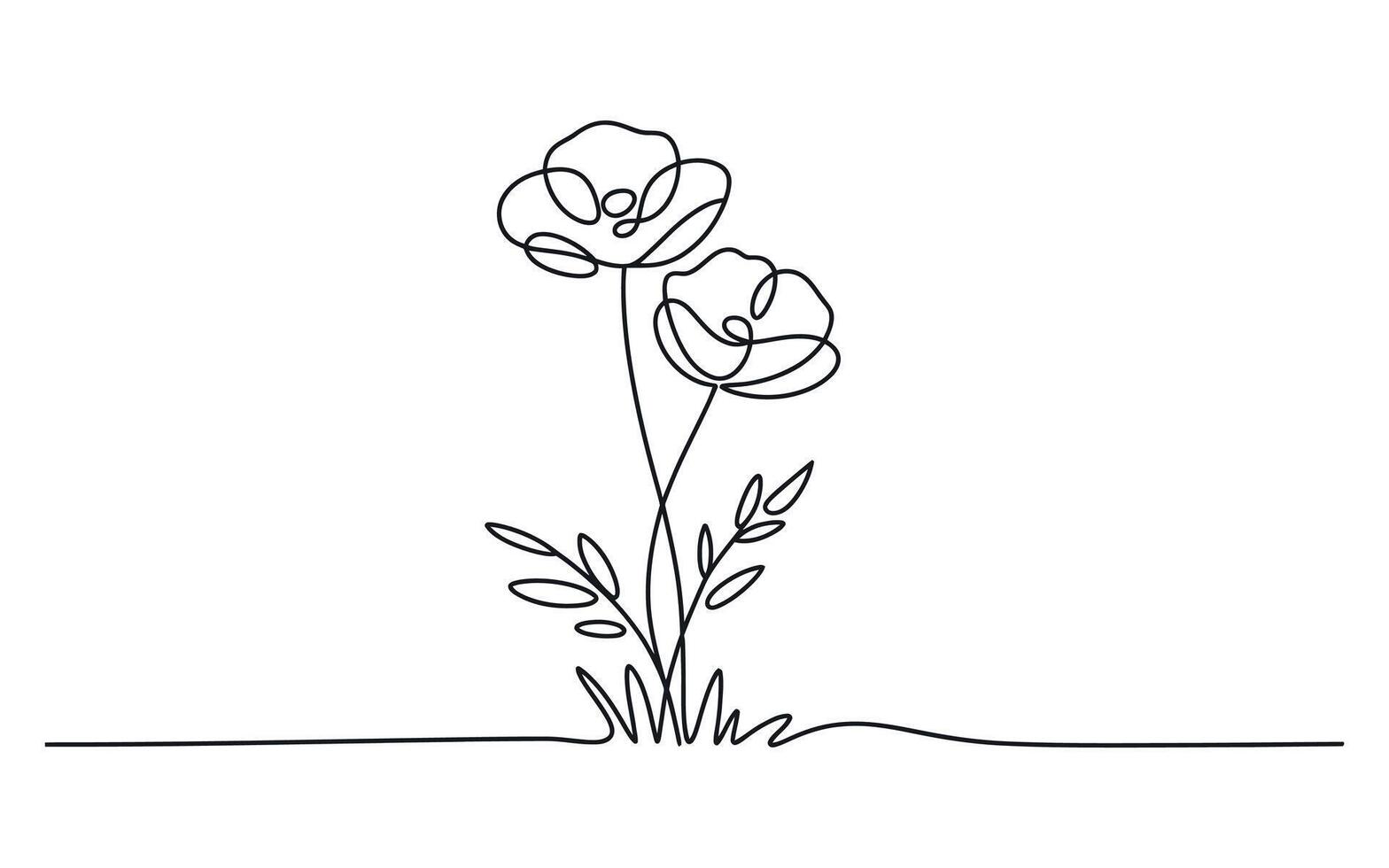 Elegant Line Art Drawing of Two Poppies with Stems and Leaves vector