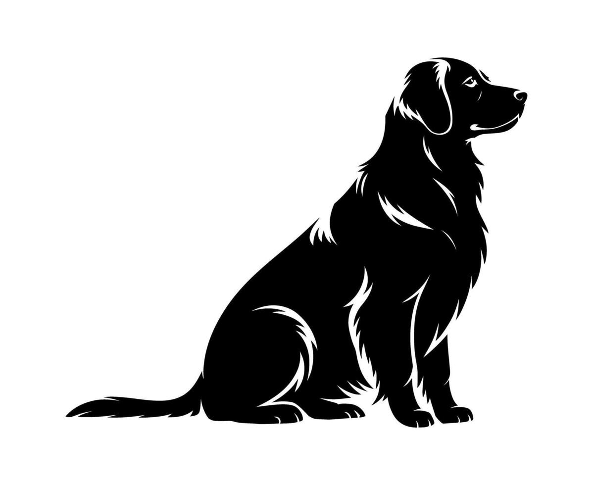 Black Silhouette of a Golden Retriever Dog Sitting and Looking to the Side on White background vector
