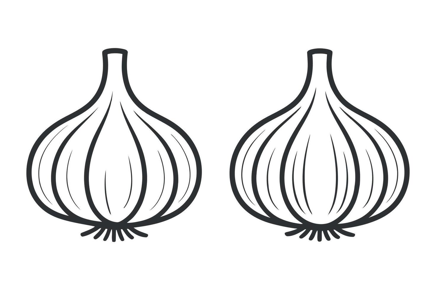 Two Line Art Drawings of Garlic Bulbs Isolated on White Background vector