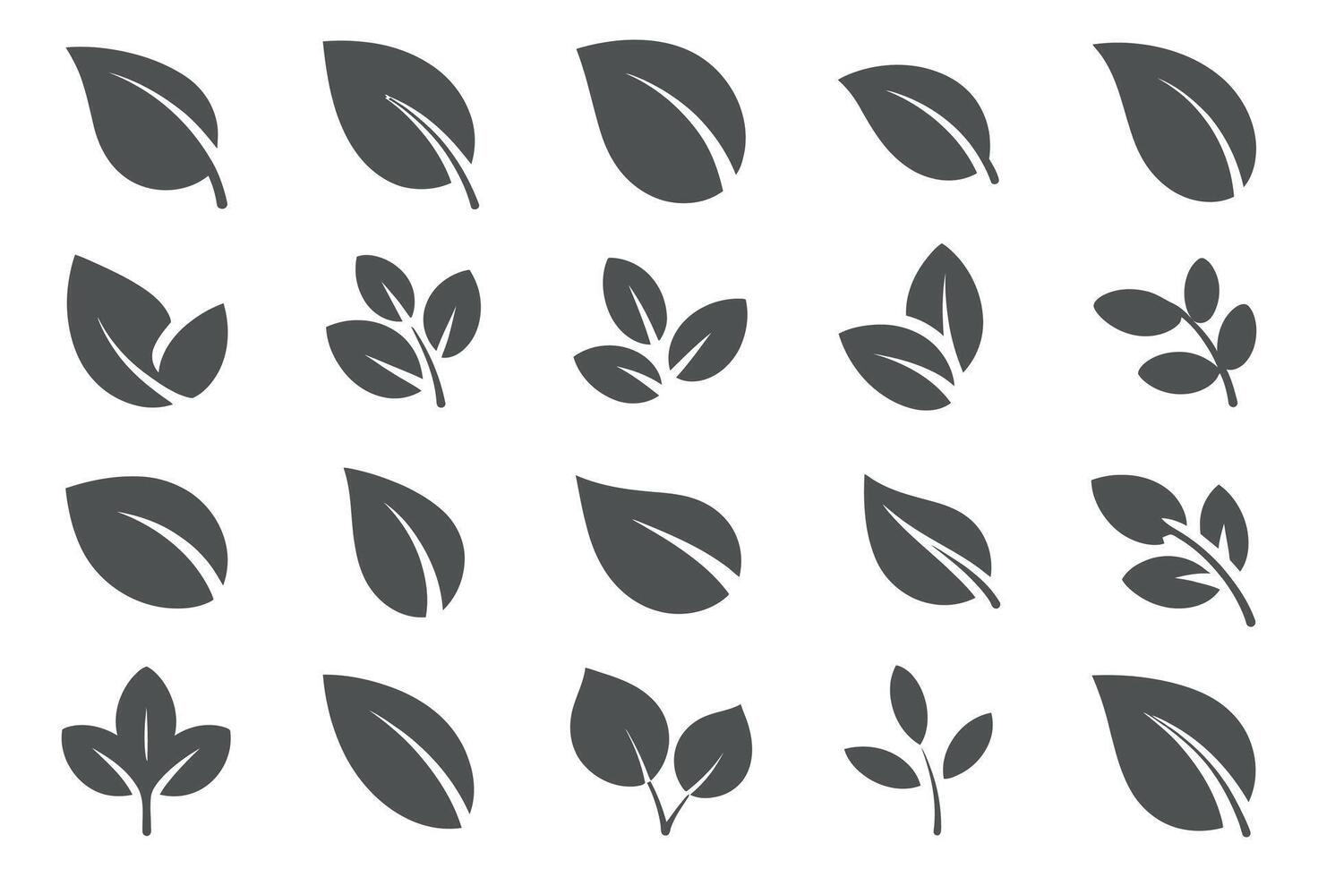 Collection of Twenty Four Gray Leaf Icons Isolated on White Background vector
