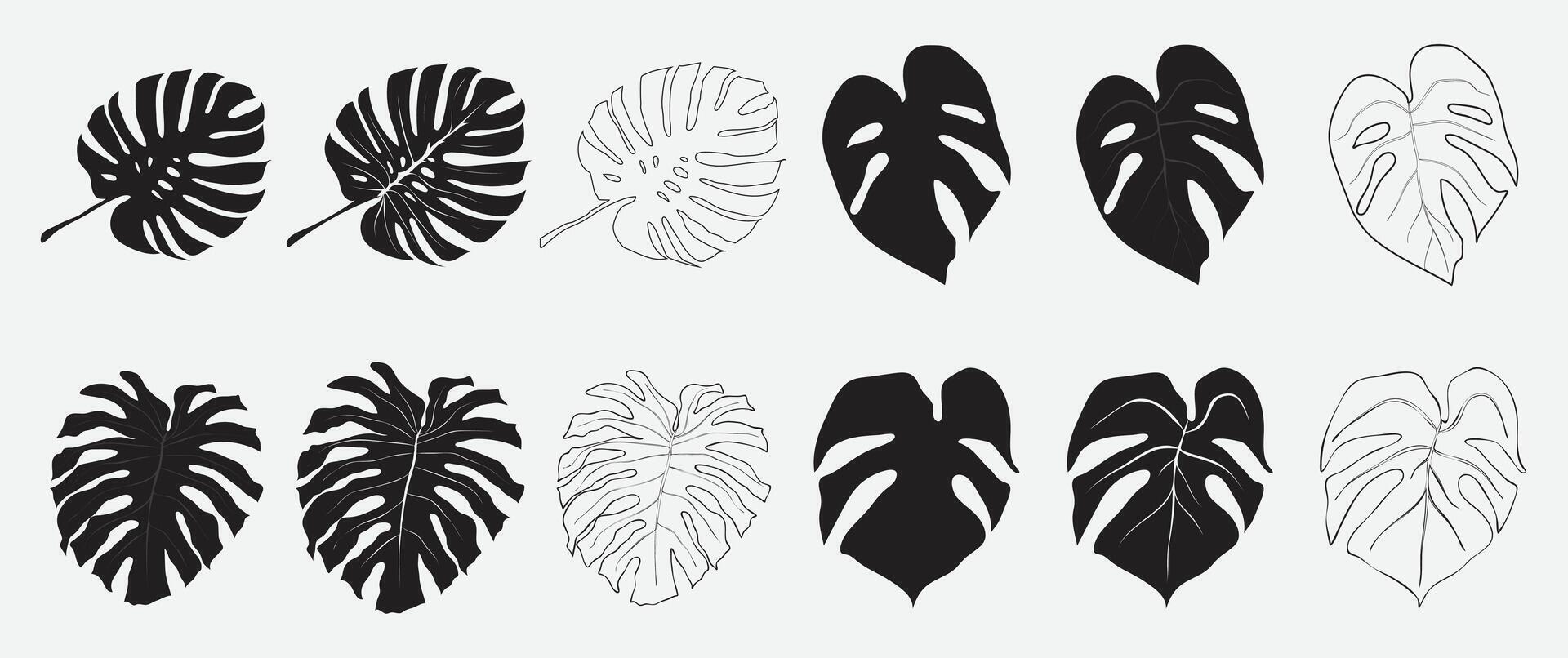Monstera Leaf Silhouette Collection vector