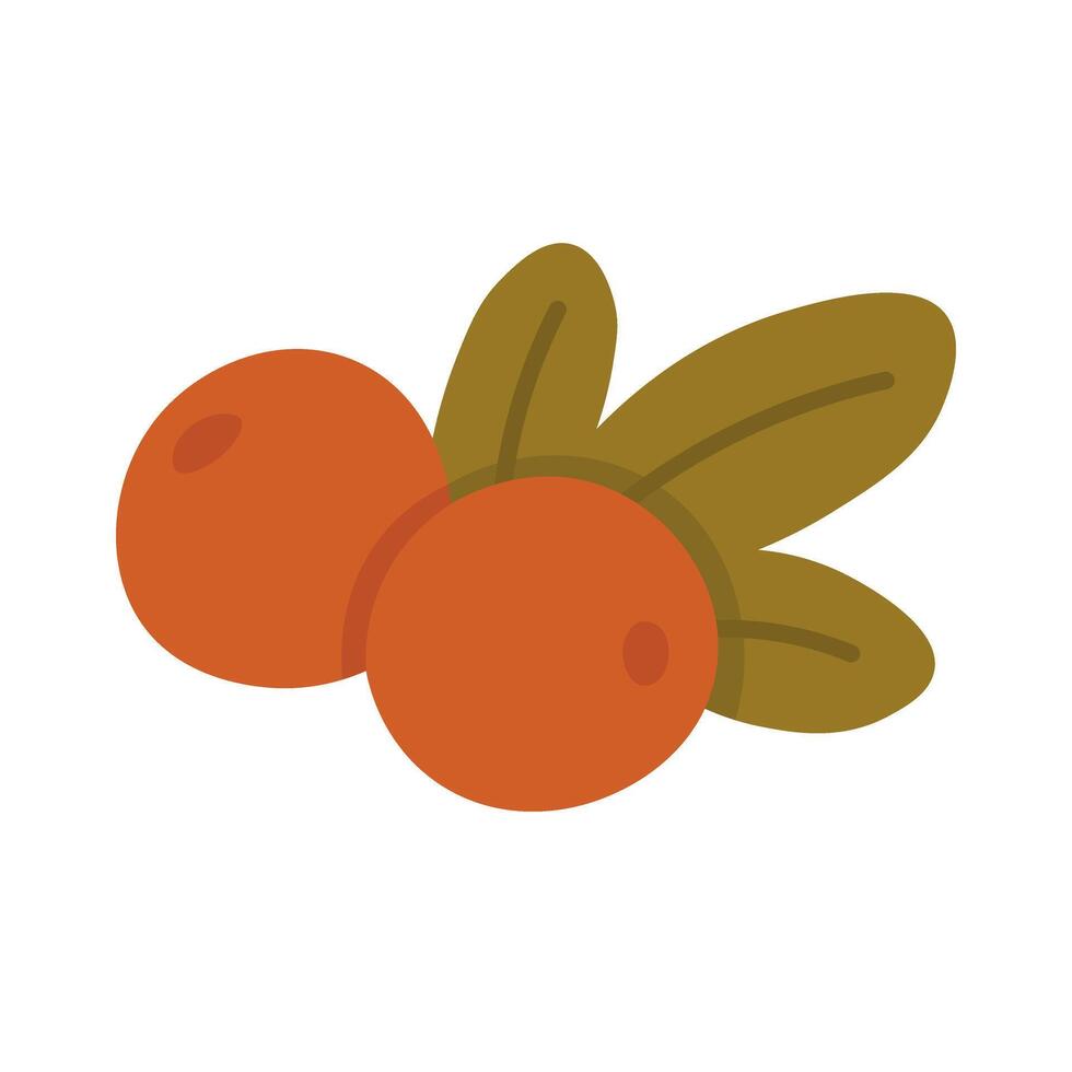 Two red berries and green leaves drawn in flat cartoon style on white background. vector