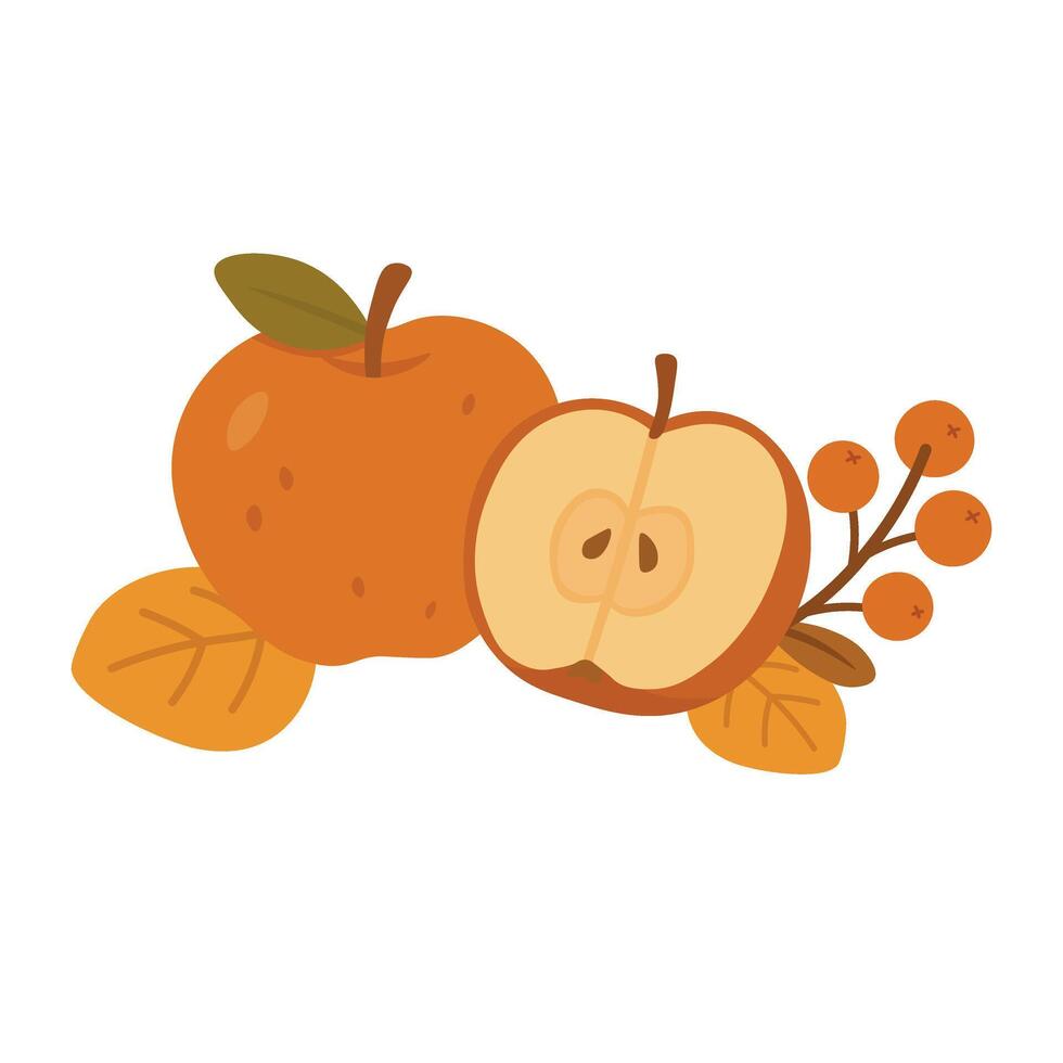 Whole and cut apple with berries and leaves. Cozy autumn fruit cartoon illustration. vector
