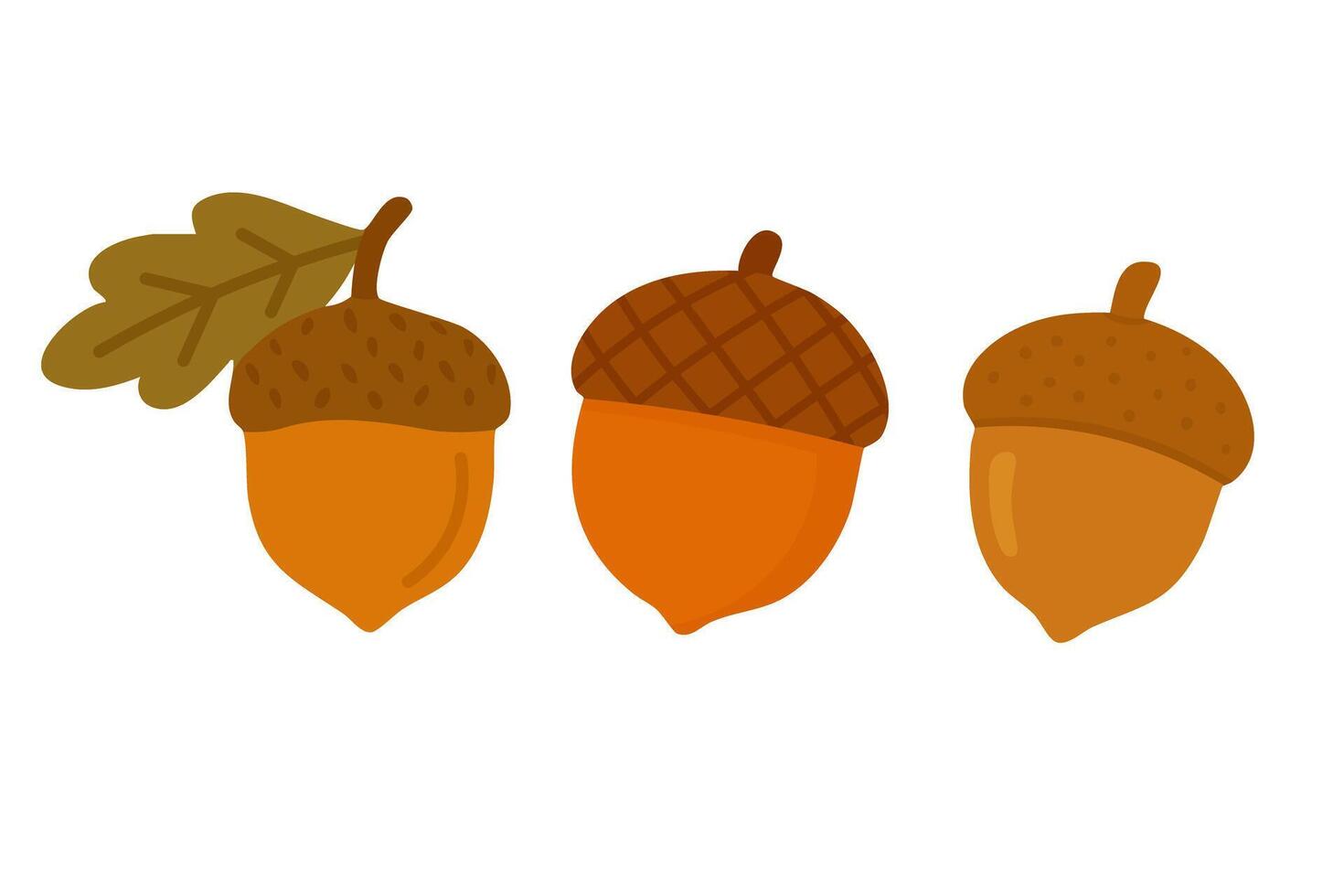 WebVector illustration of three cute cartoon acorns in warm autumn colors on white background. vector