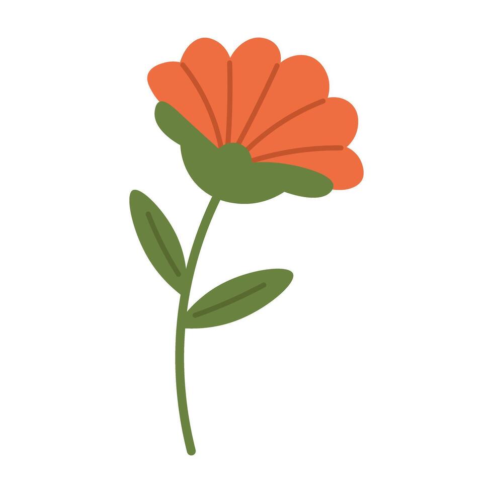 Flat cartoon wildflower with orange petals and green leaves, delicate floral accent for soft designs. vector