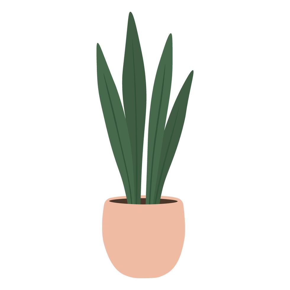Minimalist houseplant with long pointed leaves in a soft pastel pot, flat illustration. vector