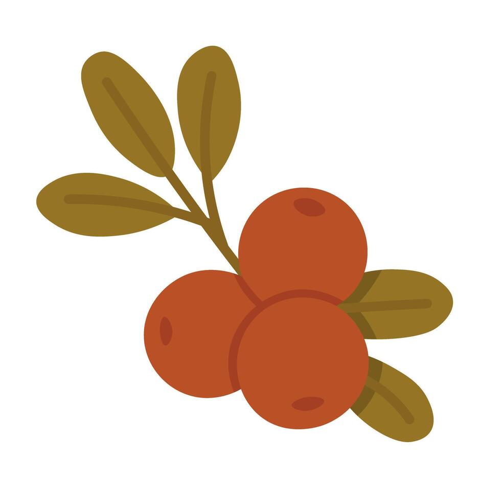 Simple branch with red berries and green leaves in flat cartoon autumn style. vector